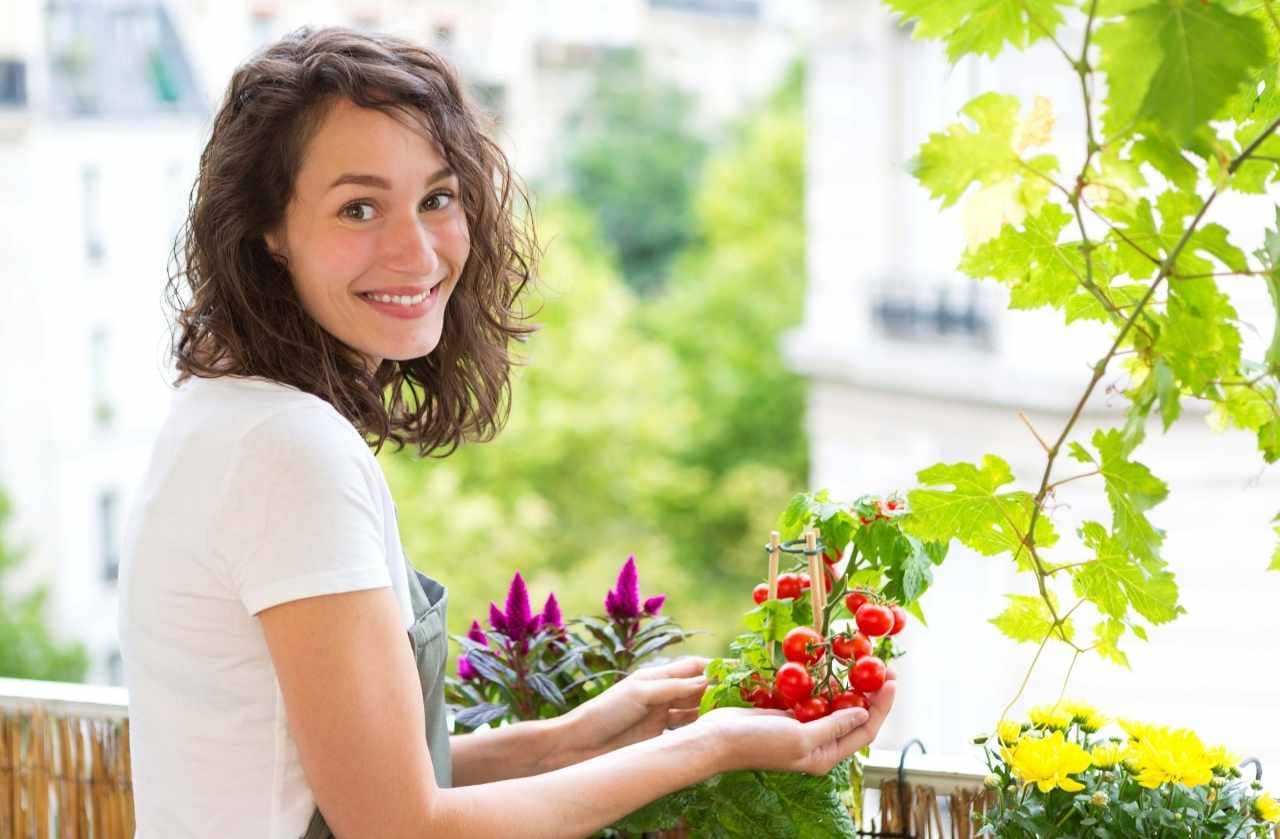 horta-em-apartamento-dicas-para-nao-errar