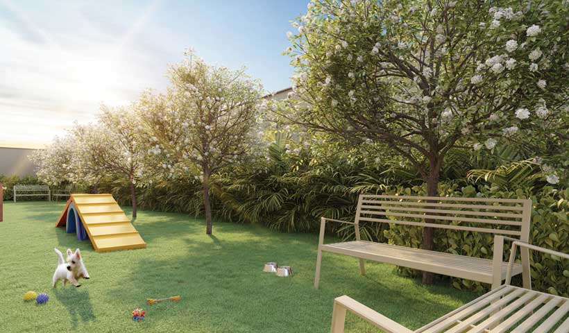 PERSPECTIVA ILUSTRADA DO PET PLACE