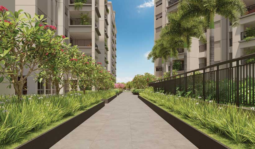 PERSPECTIVA ILUSTRADA DA VISTA ALAMEDA