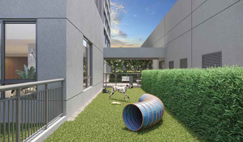 Perspectiva ilustrada do pet place