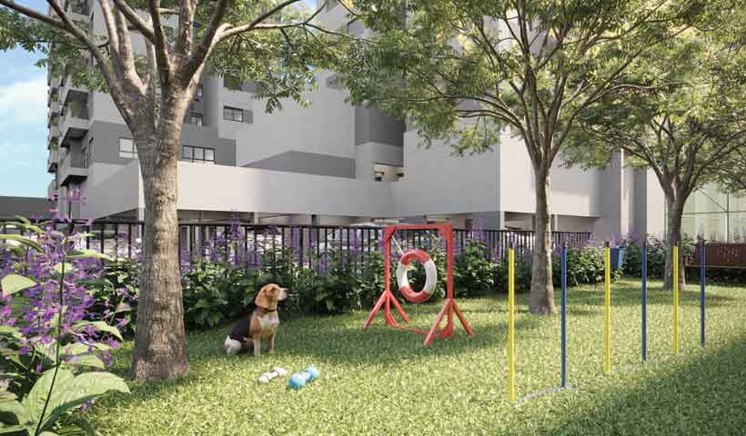 Perspectiva ilustrada do pet place