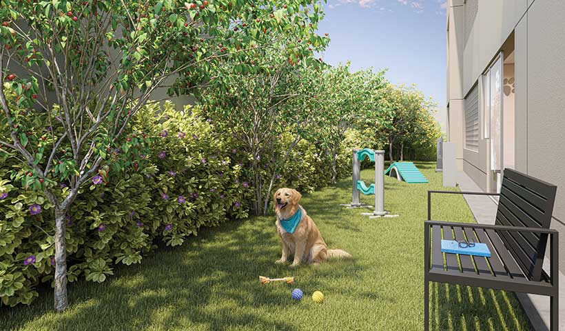 moocacitta-torino-pet-place