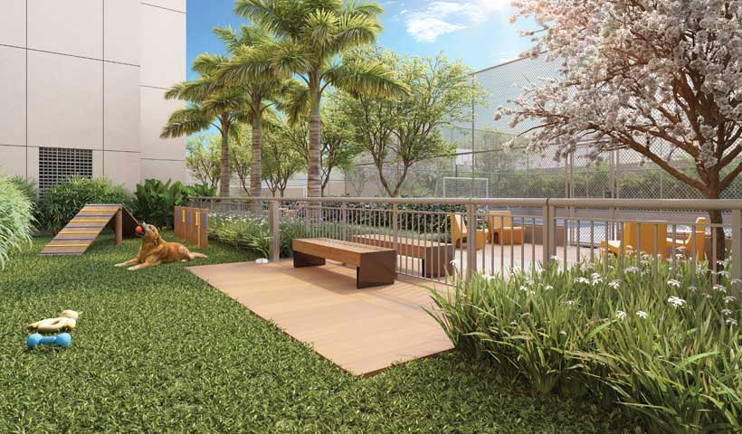 reserva-bosque-sao-caetano-pet-place