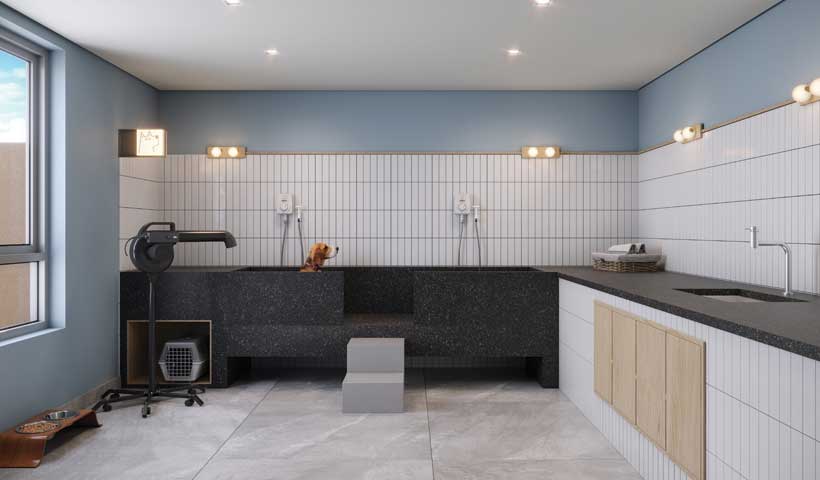 reserva-bosque-sao-caetano-pet-wash