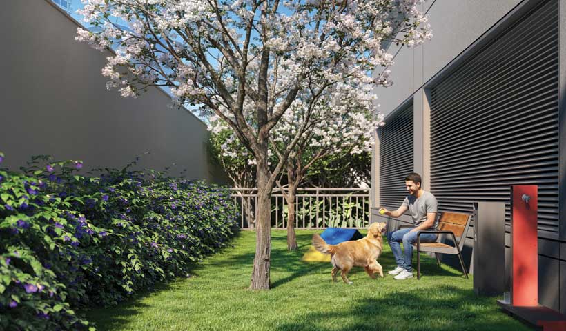 ESPAÇO PET | Perspectiva ilustrada