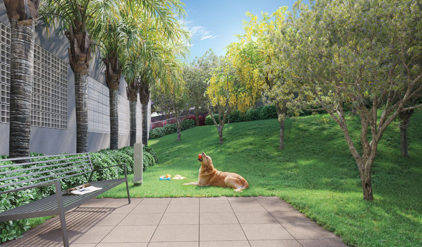 Perspectiva ilustrada do pet place