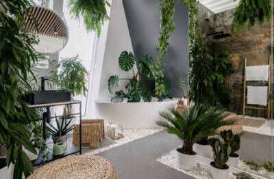 Ambiente com Urban Jungle: saiba como incluir em sua casa