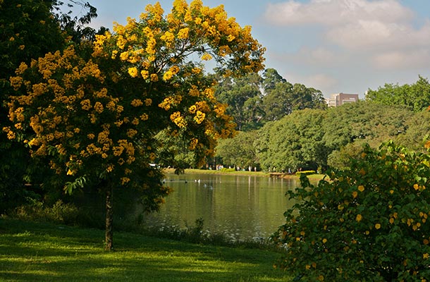 Campo Belo