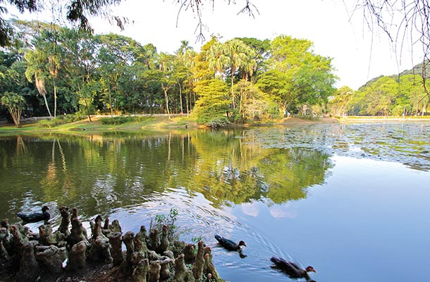 Guarulhos