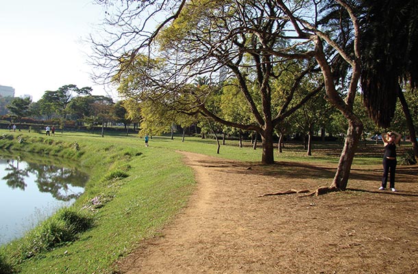 Ibirapuera