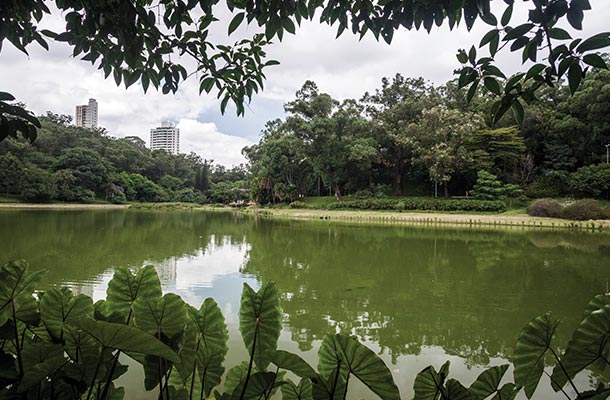 Paraíso