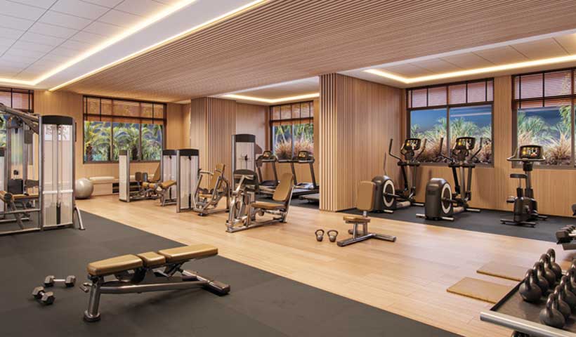 Dream View - Fitness