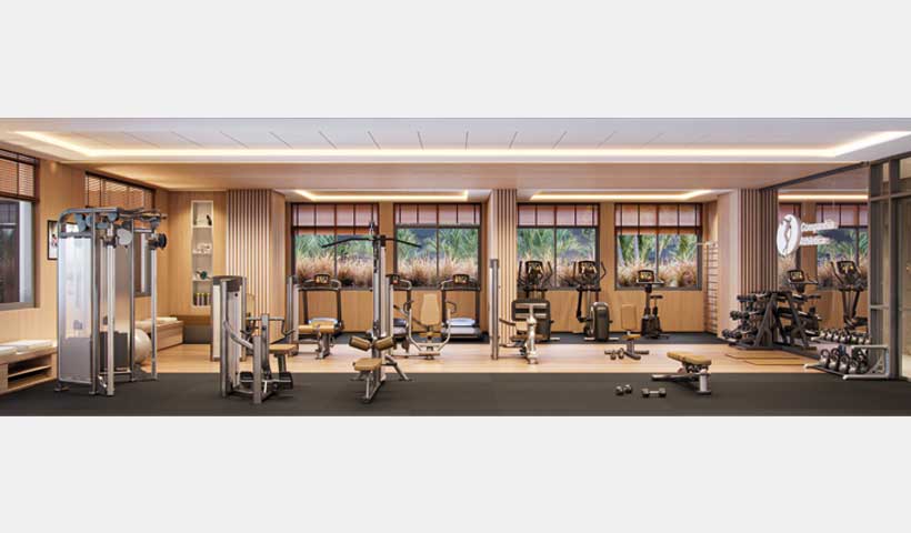 Dream View - Fitness