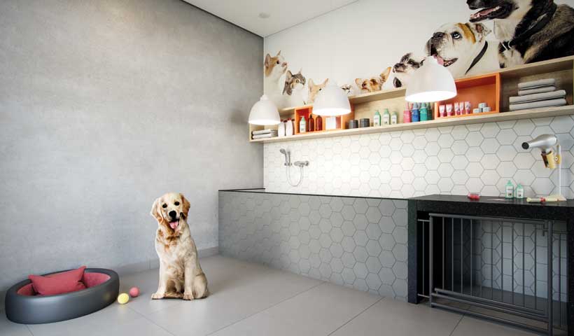 Dream View - Pet Care