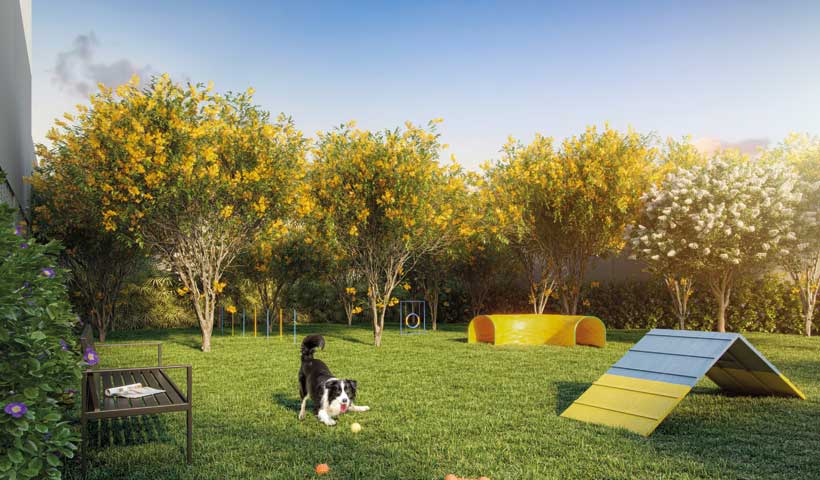 Dream View - Pet Place