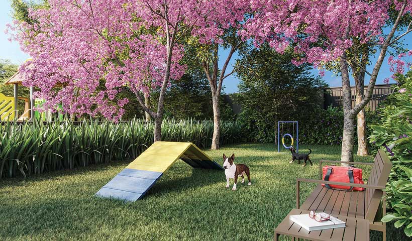 Gran Maia Giardino – Pet Place