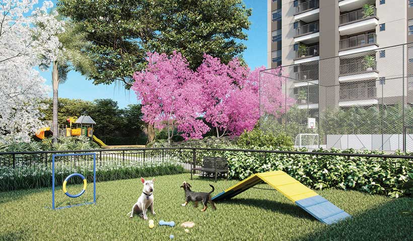 Gran Maia Piazza – Pet Place