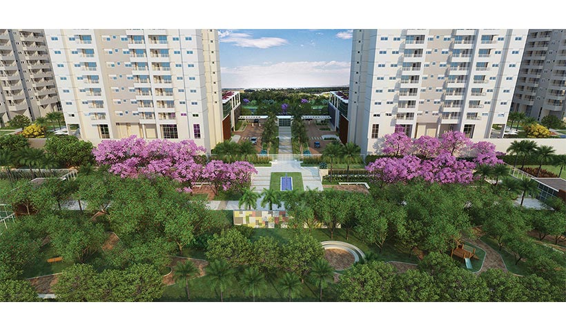 Jardins do Brasil Atlântica – Voo fundo