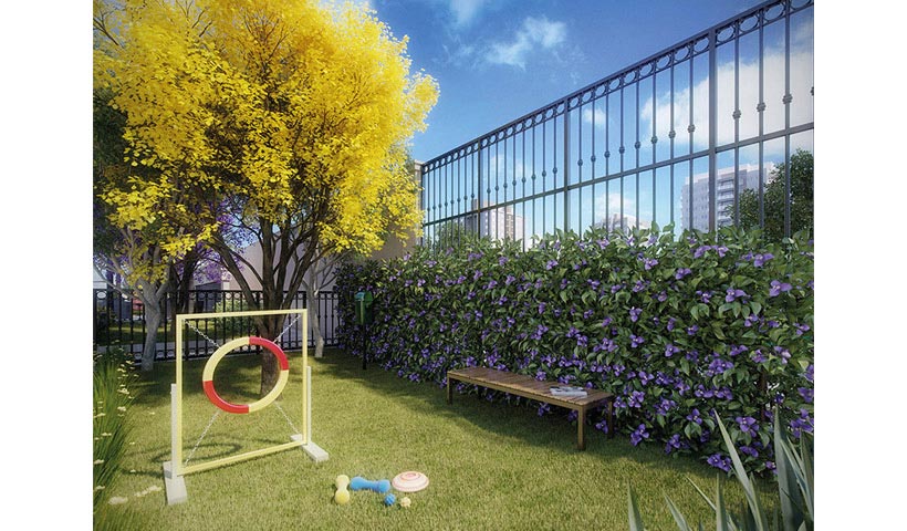 Le Premier Moema – Pet Place