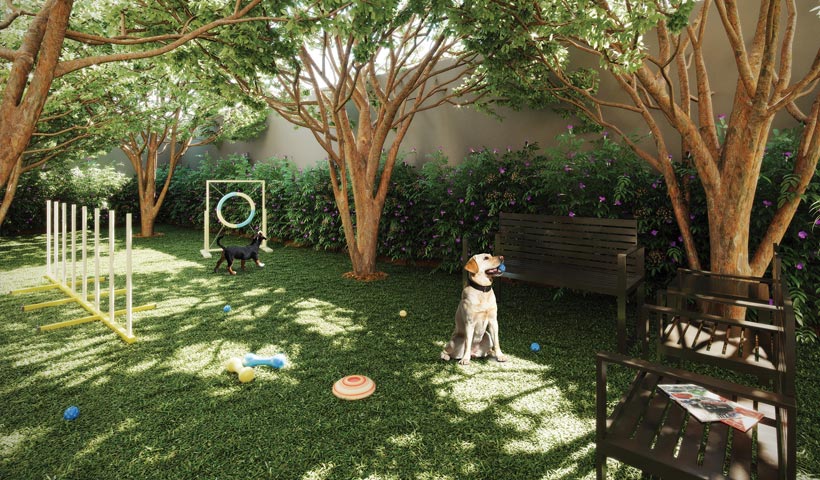 Vivid Perdizes – Perspectiva Ilustrada do Pet Place