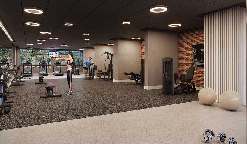 Z Pinheiros - Fitness Musculação